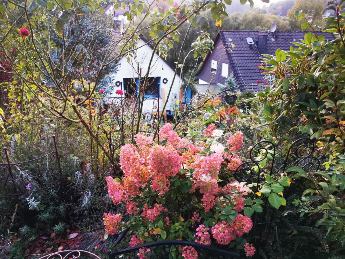 Ferienhaus Mit Riesen Garten, Drei Terrassen, Toller Aussicht Am Waldrand, Auch Als Monteur-Wohnung Hemer Bagian luar foto