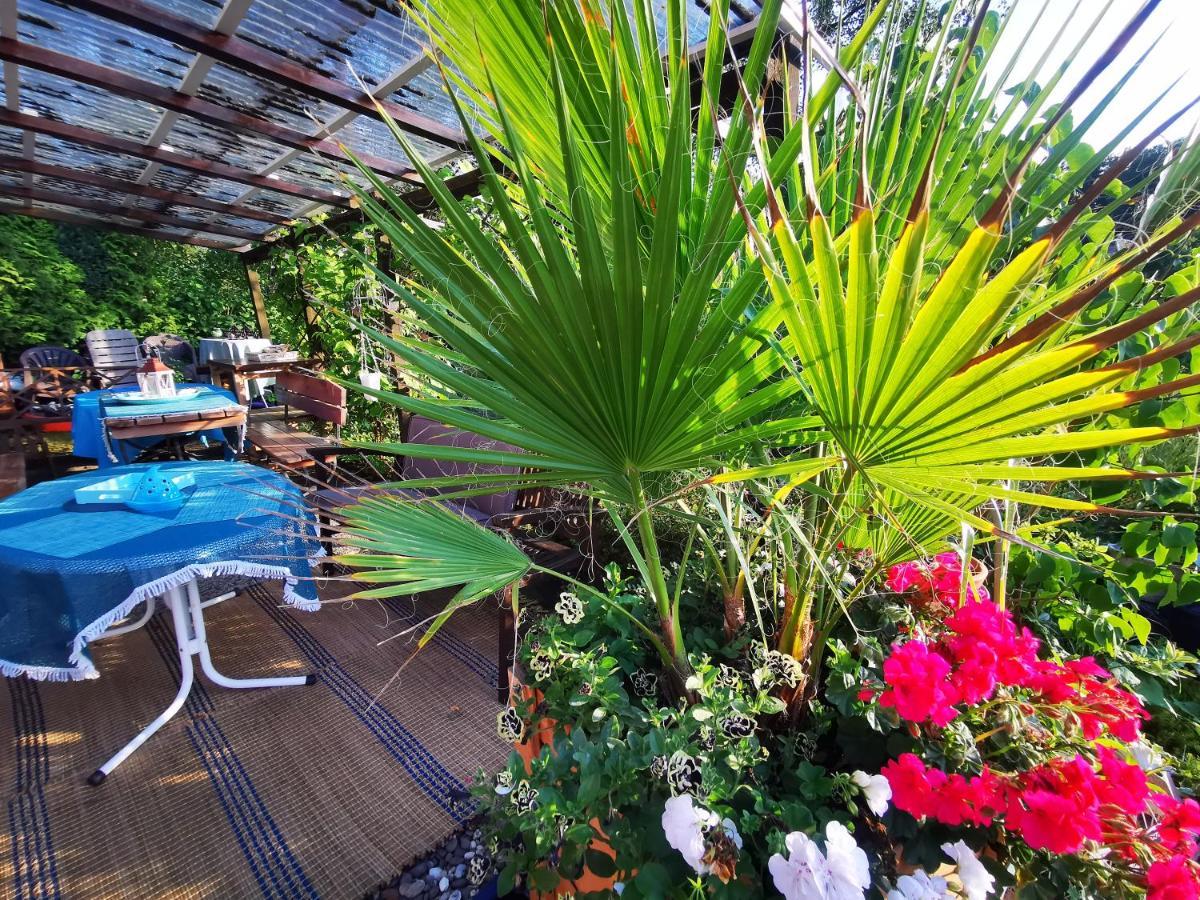 Ferienhaus Mit Riesen Garten, Drei Terrassen, Toller Aussicht Am Waldrand, Auch Als Monteur-Wohnung Hemer Bagian luar foto